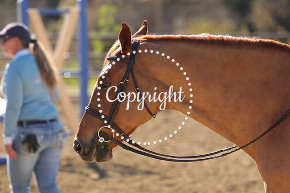 IMG_3955CRD1
