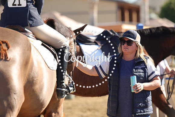 IMG_3961CRD1