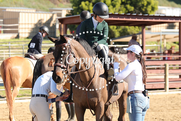 IMG_3964CRD1
