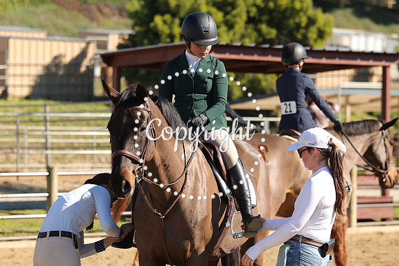 IMG_3966CRD1