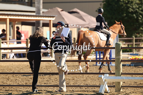 IMG_3971CRD1