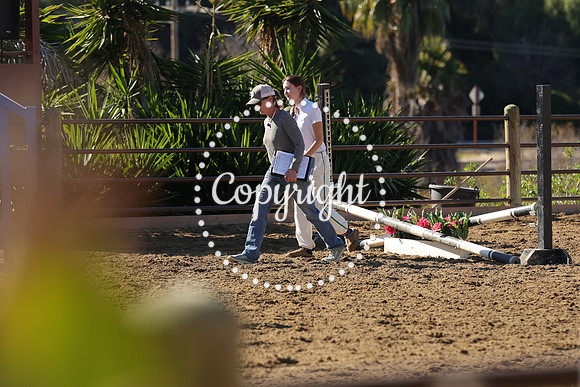 IMG_4119CRD2