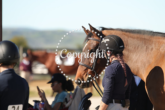 IMG_4122CRD2