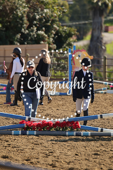 IMG_4133CRD2