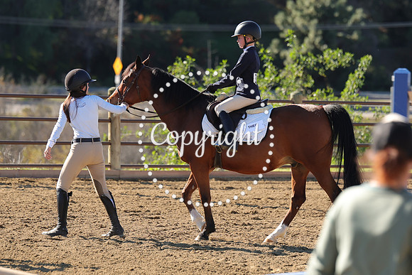 IMG_4139CRD2