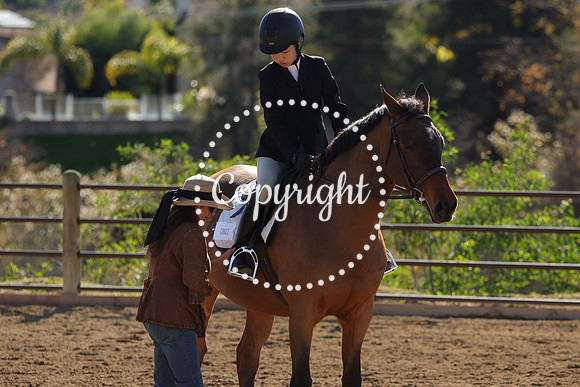 IMG_4147CRD2