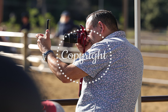 IMG_4406CRD2