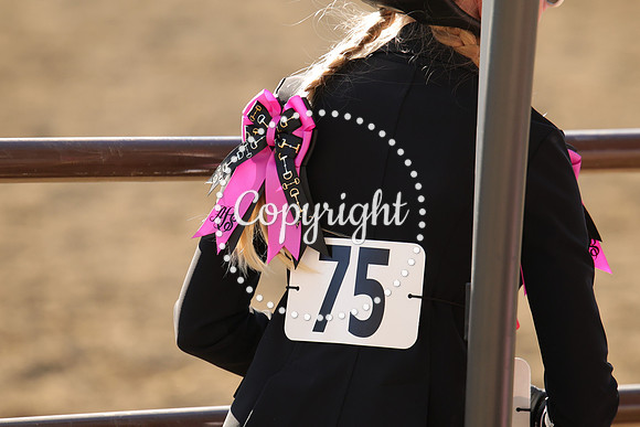 IMG_5386CRD2