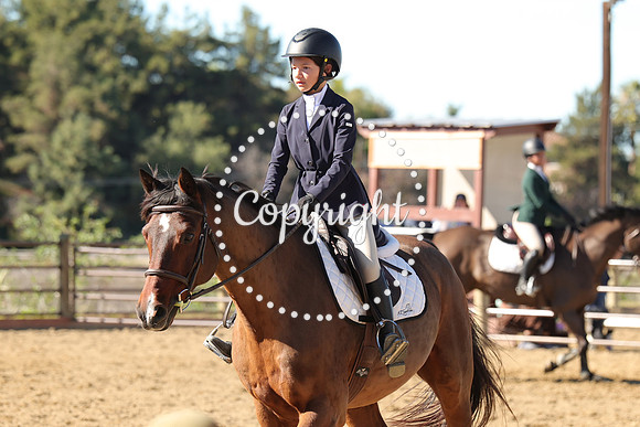 IMG_3974CRD2