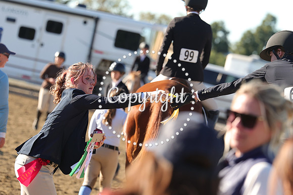 IMG_5631CRD2