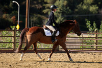 IMG_3978CRD2