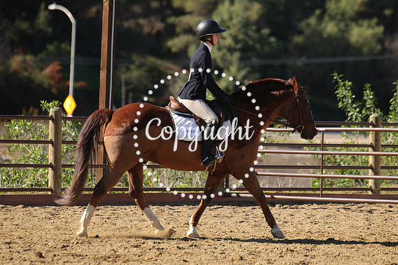 IMG_3978CRD2