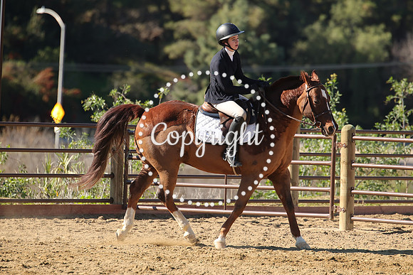 IMG_3996CRD2