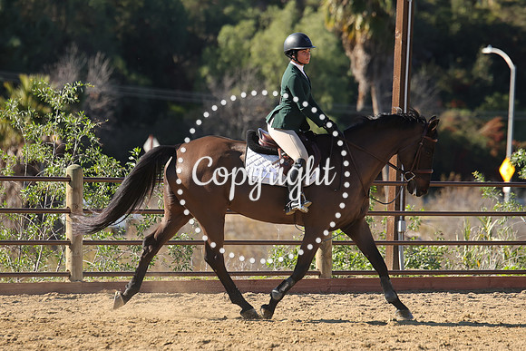 IMG_3992CRD2