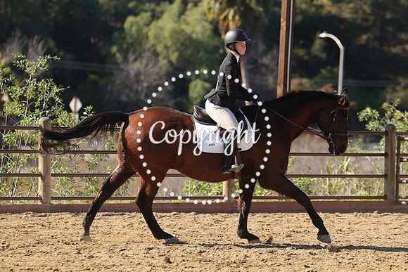 IMG_4011CRD2