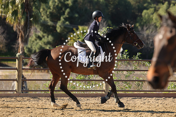 IMG_4016CRD2