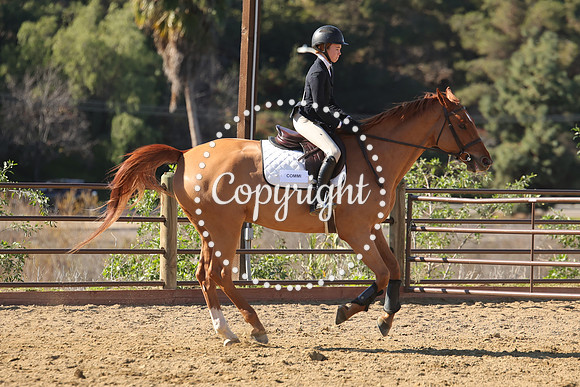 IMG_4024CRD2