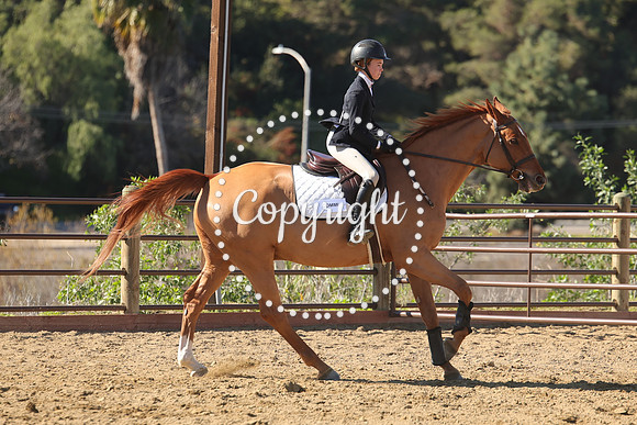 IMG_4026CRD2