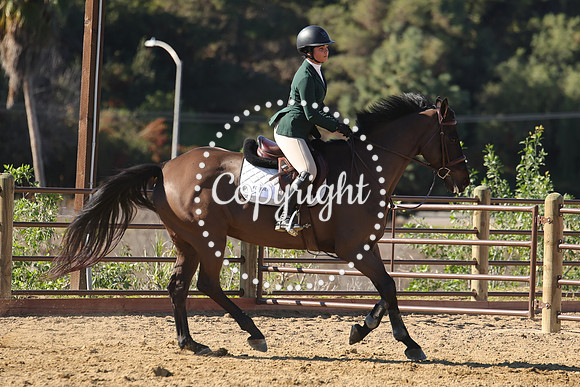 IMG_4032CRD2