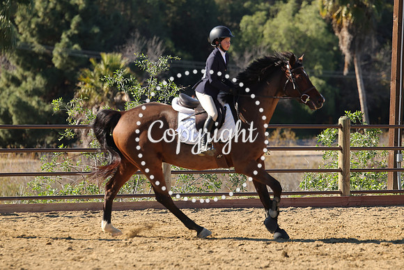 IMG_4045CRD2