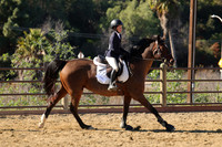 IMG_4047CRD2