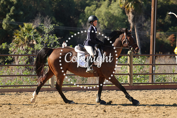 IMG_4047CRD2