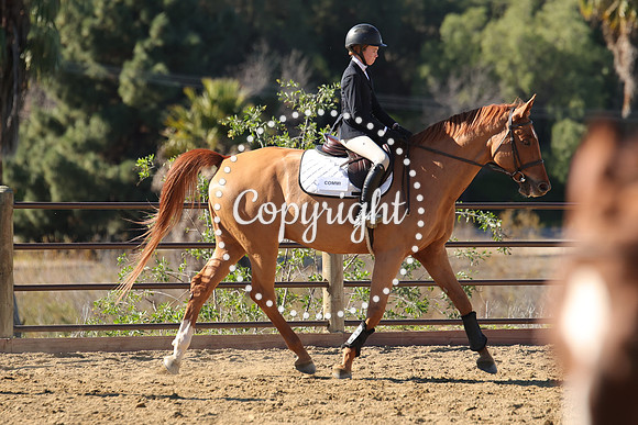IMG_4057CRD2
