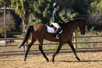 IMG_4061CRD2