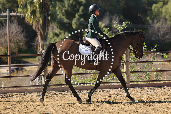 IMG_4061CRD2