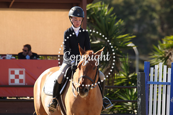 IMG_4090CRD2