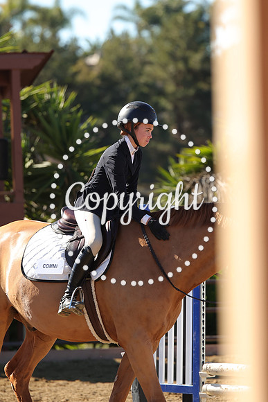 IMG_4091CRD2