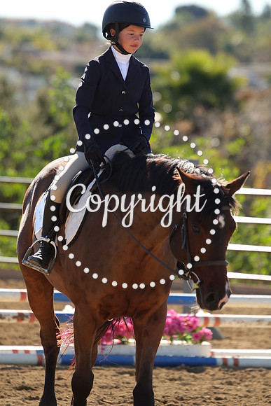 IMG_4106CRD2