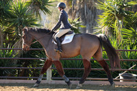 IMG_2174CRD1