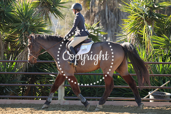 IMG_2174CRD1