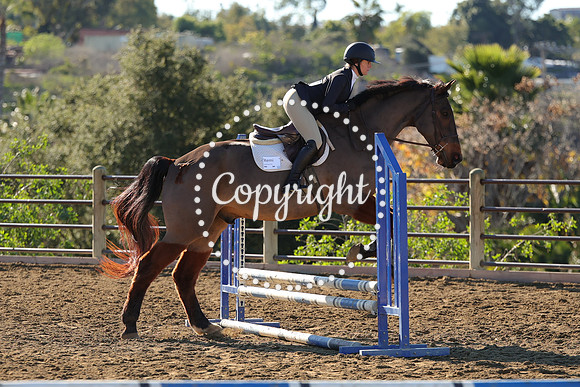 IMG_2184CRD1