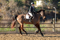 IMG_2190CRD1
