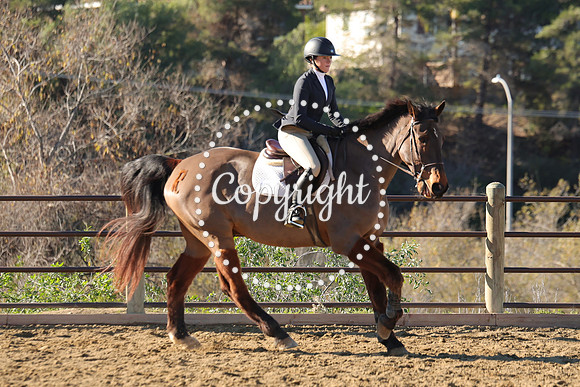 IMG_2191CRD1