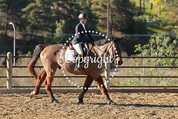 IMG_2193CRD1