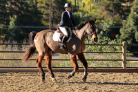 IMG_2199CRD1