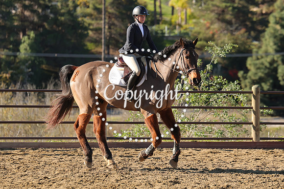 IMG_2199CRD1