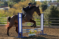 IMG_2205CRD1