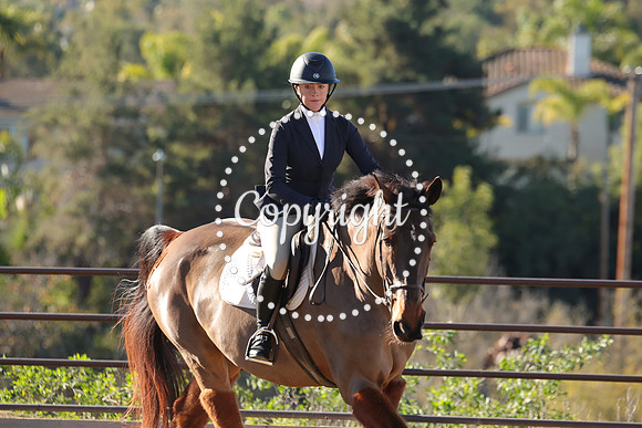 IMG_2210CRD1