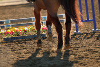 IMG_2214CRD1