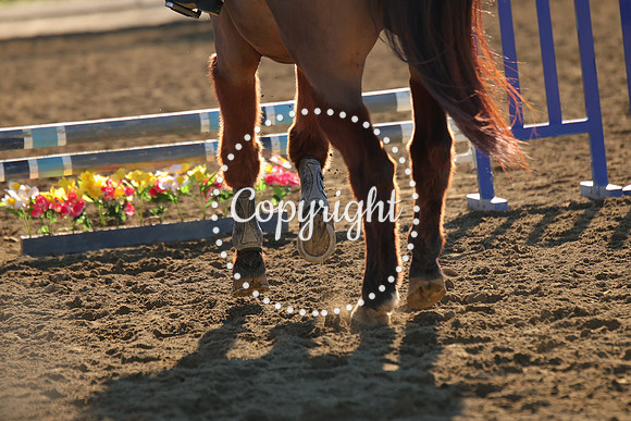 IMG_2214CRD1