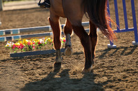 IMG_2215CRD1