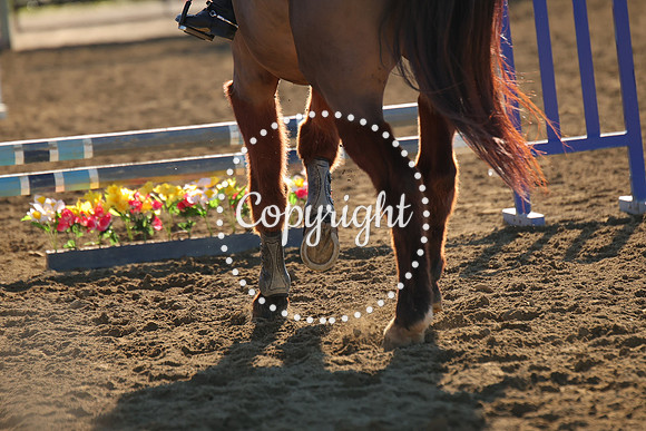 IMG_2215CRD1