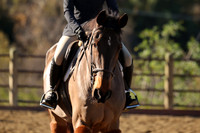 IMG_2225CRD1