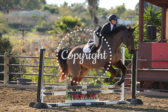 IMG_2221CRD1