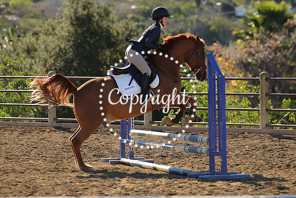 IMG_2859CRD1