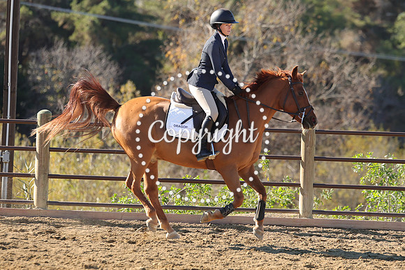 IMG_2868CRD1